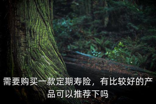 需要購(gòu)買(mǎi)一款定期壽險(xiǎn)，有比較好的產(chǎn)品可以推薦下嗎