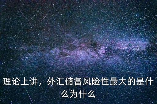 理論上講，外匯儲(chǔ)備風(fēng)險(xiǎn)性最大的是什么為什么