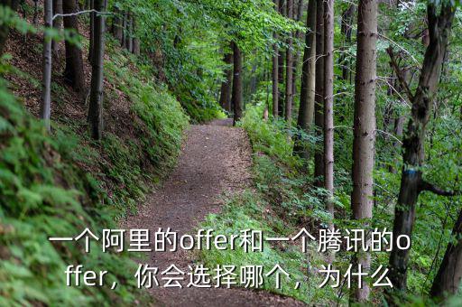 一個(gè)阿里的offer和一個(gè)騰訊的offer，你會(huì)選擇哪個(gè)，為什么