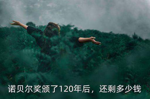 諾貝爾獎頒了120年后，還剩多少錢