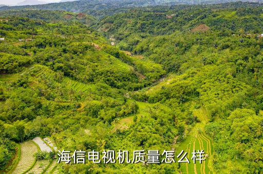海信電商的電視機質量怎么樣,海信電視怎么樣