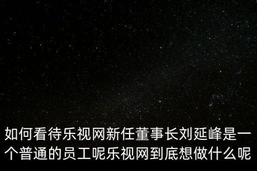 樂視網是什么公司,樂視是獨資公司嗎