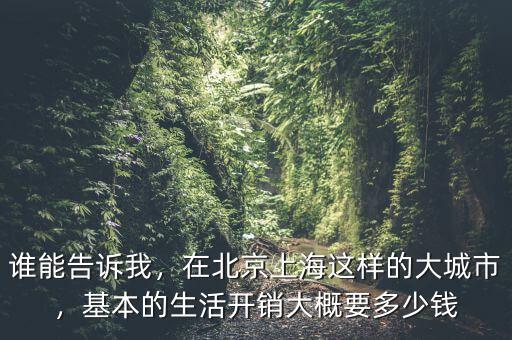 誰(shuí)能告訴我，在北京上海這樣的大城市，基本的生活開(kāi)銷(xiāo)大概要多少錢(qián)