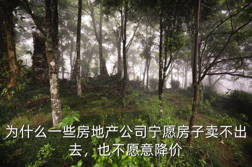 為什么一些房地產(chǎn)公司寧愿房子賣(mài)不出去，也不愿意降價(jià)