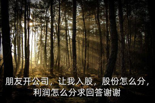 朋友開公司，讓我入股，股份怎么分，利潤怎么分求回答謝謝