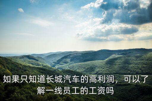 如果只知道長城汽車的高利潤，可以了解一線員工的工資嗎