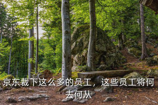 京東裁下這么多的員工，這些員工將何去何從