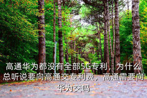 高通華為都沒(méi)有全部5G專利，為什么總聽(tīng)說(shuō)要向高通交專利費(fèi)，高通需要向華為交嗎