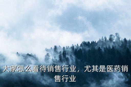 大家怎么看待銷售行業(yè)，尤其是醫(yī)藥銷售行業(yè)