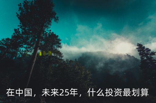 在中國(guó)，未來(lái)25年，什么投資最劃算
