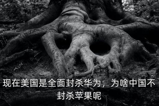現(xiàn)在美國是全面封殺華為，為啥中國不封殺蘋果呢