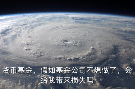 貨幣基金，假如基金公司不想做了，會給我?guī)頁p失嗎