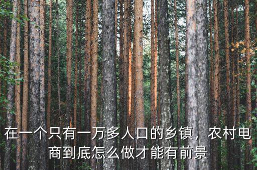 在一個只有一萬多人口的鄉(xiāng)鎮(zhèn)，農村電商到底怎么做才能有前景