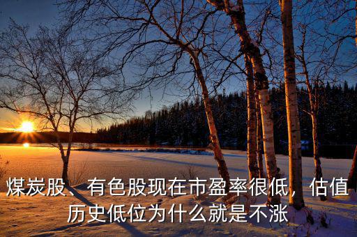 煤炭股、有色股現(xiàn)在市盈率很低，估值歷史低位為什么就是不漲