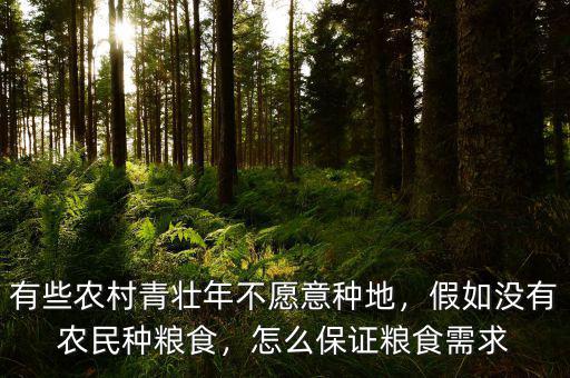 有些農(nóng)村青壯年不愿意種地，假如沒有農(nóng)民種糧食，怎么保證糧食需求