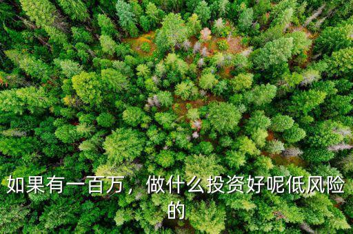 如果有一百萬，做什么投資好呢低風險的
