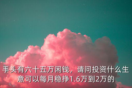 手頭有六十五萬閑錢，請問投資什么生意可以每月穩(wěn)掙1.6萬到2萬的