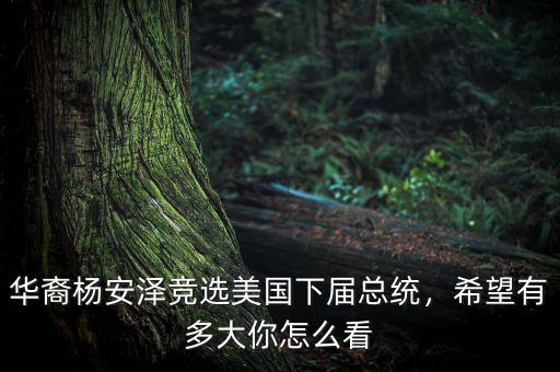 華裔楊安澤競選美國下屆總統(tǒng)，希望有多大你怎么看
