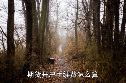 白糖期貨怎么開(kāi)戶,期貨該怎么開(kāi)戶