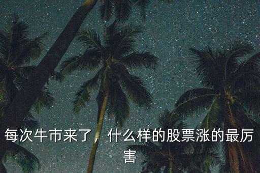 每次牛市來了，什么樣的股票漲的最厲害