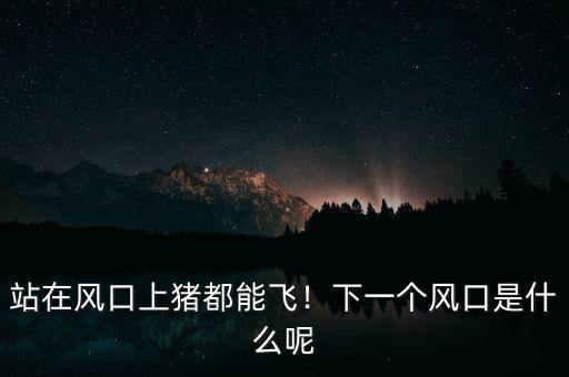 站在風(fēng)口上豬都能飛！下一個風(fēng)口是什么呢