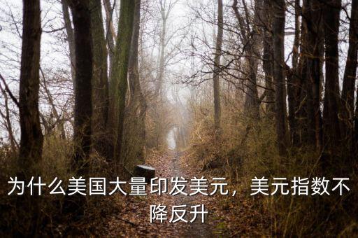 為什么美國大量印發(fā)美元，美元指數(shù)不降反升