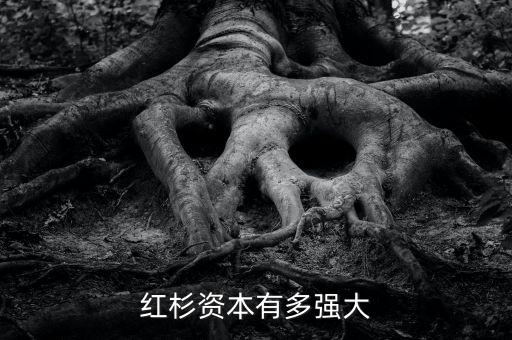 紅杉資本有多少資產,如何評價紅杉資本沈南鵬