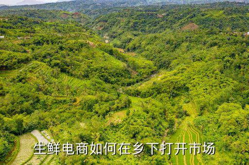 生鮮電商如何在鄉(xiāng)下打開(kāi)市場(chǎng)