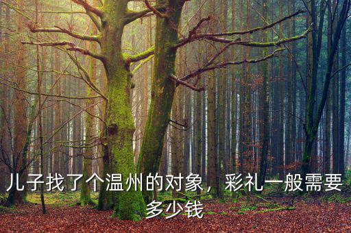 兒子找了個(gè)溫州的對(duì)象，彩禮一般需要多少錢