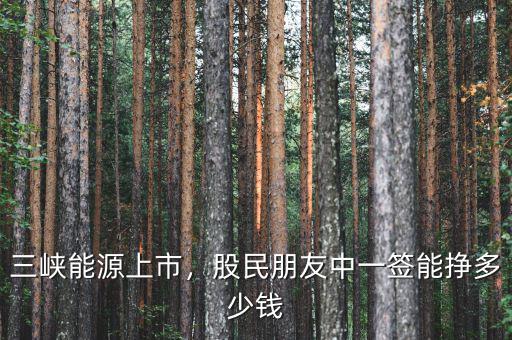 三峽能源上市，股民朋友中一簽?zāi)軖甓嗌馘X