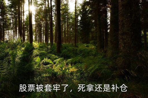 股票被套牢了，死拿還是補倉