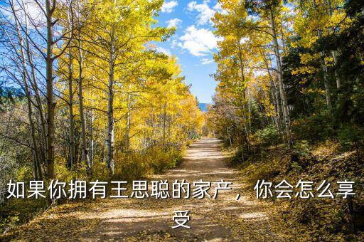 如果你擁有王思聰?shù)募耶a(chǎn)，你會怎么享受