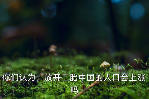 你們認為，放開二胎中國的人口會上漲嗎