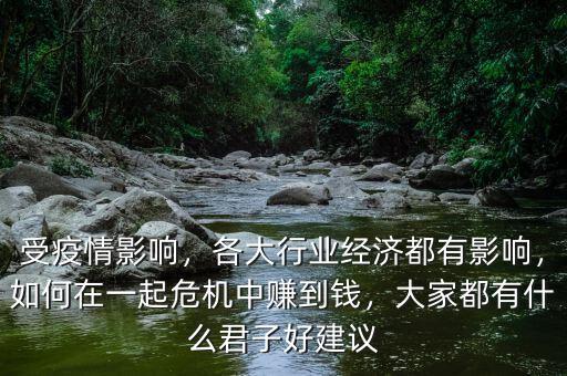 受疫情影響，各大行業(yè)經(jīng)濟(jì)都有影響，如何在一起危機(jī)中賺到錢，大家都有什么君子好建議