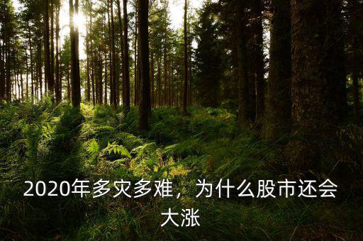 2020年多災(zāi)多難，為什么股市還會大漲