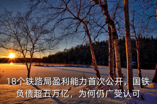 18個鐵路局盈利能力首次公開，國鐵負債超五萬億，為何仍廣受認可