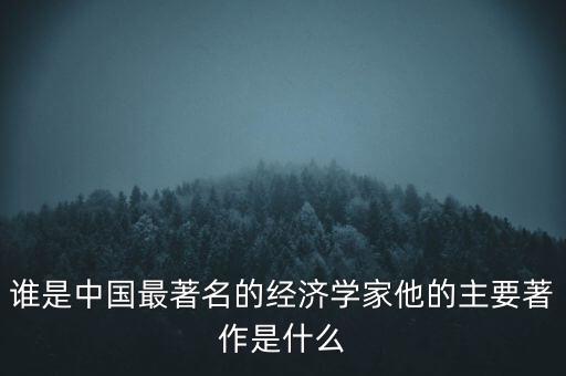 經(jīng)濟學家是什么,誰是中國最著名的經(jīng)濟學家