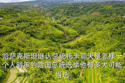 中國(guó)總統(tǒng)怎么選,他們?cè)趺催x出來的