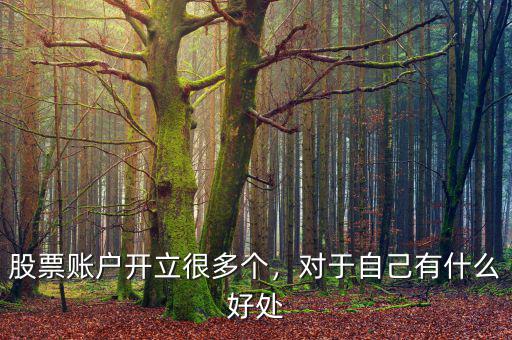 股票賬戶(hù)開(kāi)立很多個(gè)，對(duì)于自己有什么好處