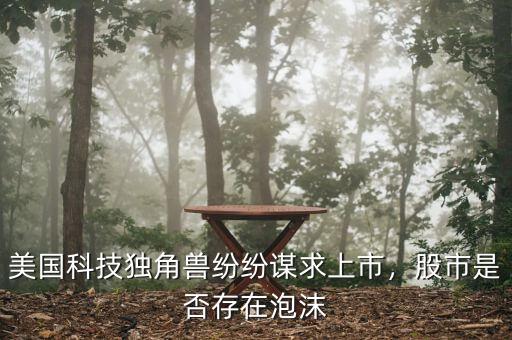 美國科技獨角獸紛紛謀求上市，股市是否存在泡沫