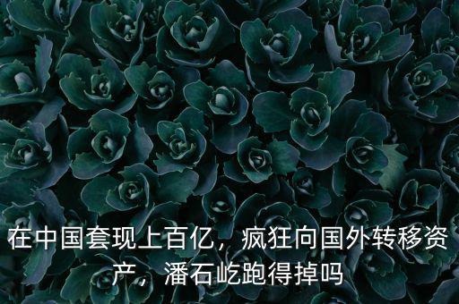 在中國(guó)套現(xiàn)上百億，瘋狂向國(guó)外轉(zhuǎn)移資產(chǎn)，潘石屹跑得掉嗎