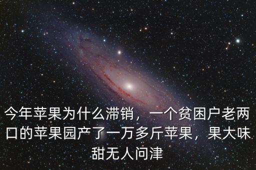 今年蘋果為什么滯銷，一個貧困戶老兩口的蘋果園產了一萬多斤蘋果，果大味甜無人問津