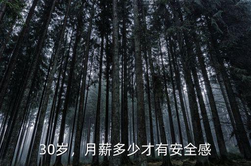 30歲，月薪多少才有安全感