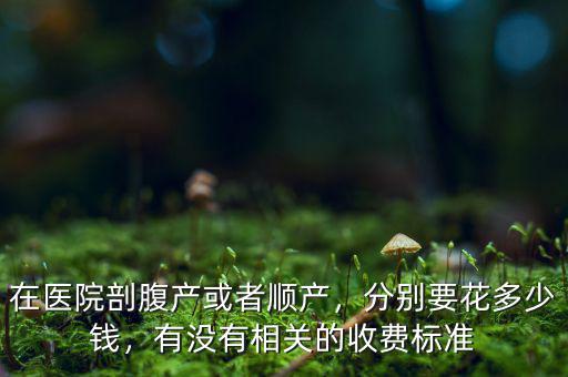 在醫(yī)院剖腹產(chǎn)或者順產(chǎn)，分別要花多少錢，有沒有相關(guān)的收費(fèi)標(biāo)準(zhǔn)
