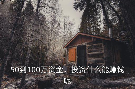 50到100萬資金，投資什么能賺錢呢