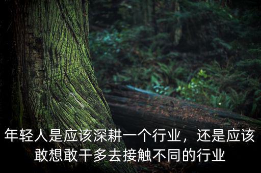 年輕人是應該深耕一個行業(yè)，還是應該敢想敢干多去接觸不同的行業(yè)