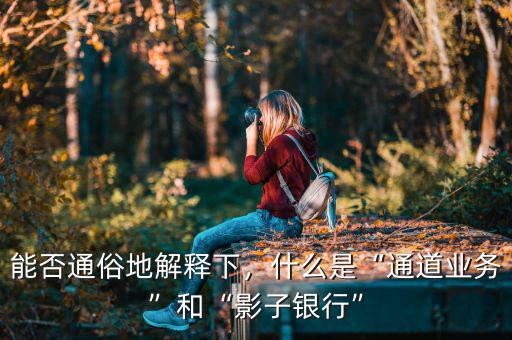 能否通俗地解釋下，什么是“通道業(yè)務(wù)”和“影子銀行”