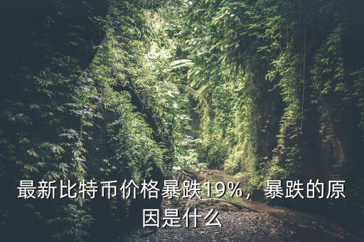 最新比特幣價格暴跌19%，暴跌的原因是什么
