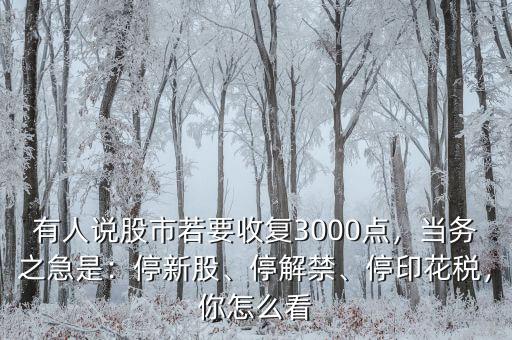 有人說股市若要收復(fù)3000點，當務(wù)之急是：停新股、停解禁、停印花稅，你怎么看