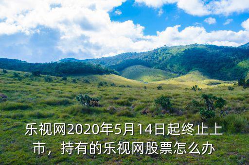 樂視網(wǎng)2020年5月14日起終止上市，持有的樂視網(wǎng)股票怎么辦